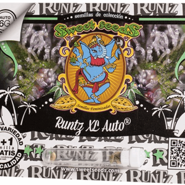 Runtz XL Auto®  (3+1)